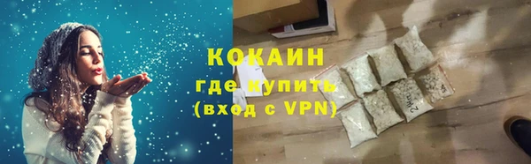 бошки Белокуриха