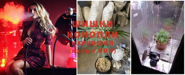 бошки Белокуриха